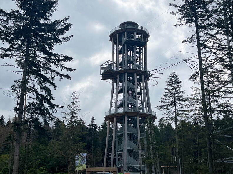 23-04-30 12-09-51 5239